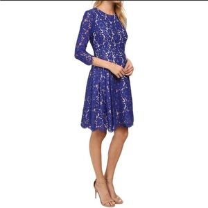 Eliza J Royal Blue Lace Long Sleeve Dress